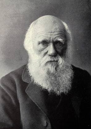 Charles Darwin 1809 - 1882 Charles Darwin 1809 - 1882 Copyright: xPhoto12 AnnxRonanxPicturexLibraryx ARP17A30319