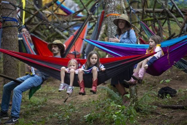 August 2, 2019, Happy Valley, Oregon, U.S: The audience in hammocks as they watch Gold Star perform at Pickathon Music festival in Happy Valley Oregon August 2, 2019. Happy Valley U.S. - ZUMAb190 20190802_znp_b190_016 Copyright: xNataliexBehringx