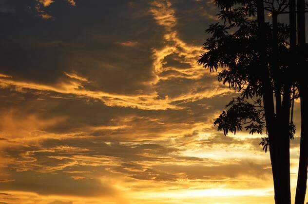  silhouette tree sunset golden clouds sky / colorful dramatic sky sunset on summer  Copyright: xporingx Panthermedia26109327