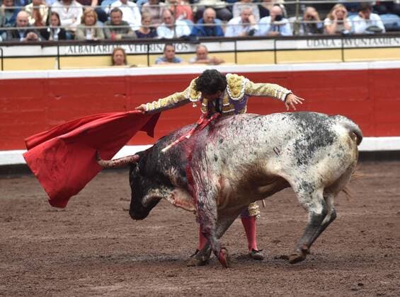 Mexican bullfighter Luis David Adame in action during a bullfighting as part of Semana Grande (Big Week) s fair at Vista Alegre bullring in Bilbao, Basque Country, northern Spain, 19 August 2019. The fair runs from 17 to 25 August. Semana Grande Bullfighting Fair !ACHTUNG: NUR REDAKTIONELLE NUTZUNG!  Copyright: xMiguelxTonax GRAF8393 20190819-637018461553513001