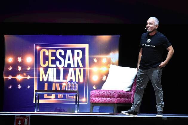 Cesar Millan Once Upon A Dog Show in Mexico MEXICO CITY, MEXICO - AUGUST 25: The Dog Trainer Cesar Millan speaks on stage during his show Once Upon A Dog at Mexico City Arena on August 25, 2019 in Mexico City, Mexico  Copyright: xCarlosxTischlerx EYE_4041