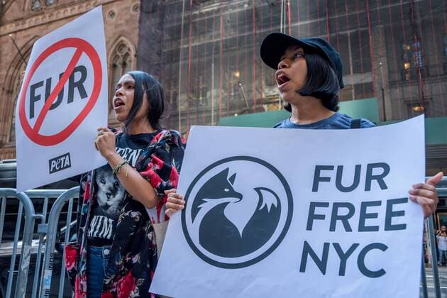 August 25, 2019, New York, USA: Animal Liberation activists targeted luxury fashion brands DIOR, FENDI, and D&G retail stores in New York on August 25, 2019 closing out the Official Animal Rights March weekend by sending a loud and powerful message to fur peddlers in NYC demanding they stop selling real fur and to stop killing animals for their fur. USA - ZUMAm432 20190825_znp_m432_001 Copyright: xErikxMcGregorx