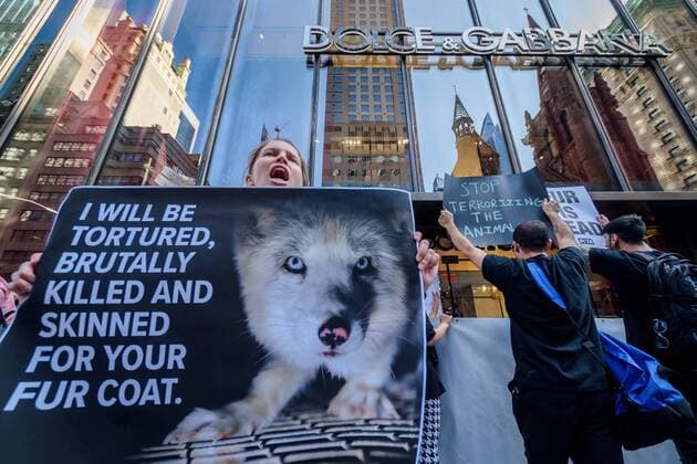 August 25, 2019, New York, USA: Animal Liberation activists targeted luxury fashion brands DIOR, FENDI, and D&G retail stores in New York on August 25, 2019 closing out the Official Animal Rights March weekend by sending a loud and powerful message to fur peddlers in NYC demanding they stop selling real fur and to stop killing animals for their fur. USA - ZUMAm432 20190825_znp_m432_005 Copyright: xErikxMcGregorx