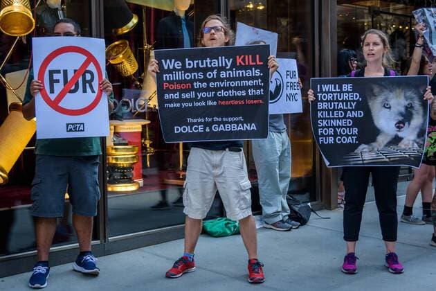 August 25, 2019, New York, USA: Animal Liberation activists targeted luxury fashion brands DIOR, FENDI, and D&G retail stores in New York on August 25, 2019 closing out the Official Animal Rights March weekend by sending a loud and powerful message to fur peddlers in NYC demanding they stop selling real fur and to stop killing animals for their fur. USA - ZUMAm432 20190825_znp_m432_007 Copyright: xErikxMcGregorx