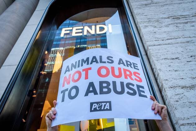 NYC: Anti-Fur protest at luxury brand stores Animal Liberation activists targeted luxury fashion brands DIOR, FENDI, and D&G retail stores in New York on August 25, 2019 closing out the Official Animal Rights March weekend by sending a loud and powerful message to fur peddlers in NYC demanding they stop selling real fur and to stop killing animals for their fur. New York New York United States New York City  ErikxMcGregor