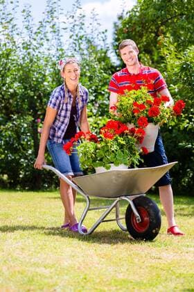 Couple in garden with barrow and flowers,model released, Symbolfoto  Copyright: xKzenonx Panthermedia21485801