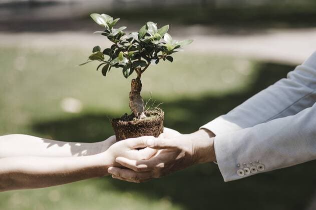 Man and boy holding bonsai tree model released Symbolfoto  KMKF01015