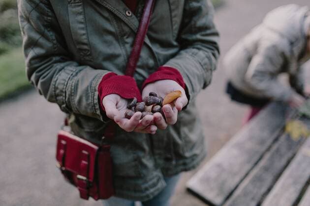 IMAGO Creative: Herbst, Kastanien sammeln Girl holding chestnuts in her hand model released Symbolfoto  OGF00083