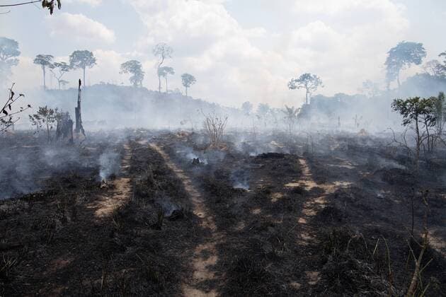 Waldbrände in Brasilien, Soldaten bei der Brandbekämpfung NOVO PROGRESSO, PA - 03.09.2019: SOLDIERS FIGHT FIRE IN NEW FRONTIER - Fire in the Nova Fronteira region, in Novo Progresso, Pará. Army arrived today in the municipality to help fight the fires. x1789343x  JoãoxLaet