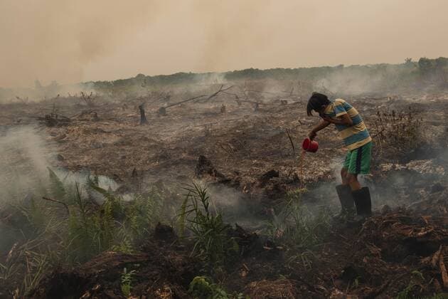 IMAGO Nature: Unsere Erde, Energiequellen, Torf (190909) -- RIAU (INDONESIA), Sept. 9, 2019 -- A man tries to extinguish peat land fire at Siak Hulu in Riau, Indonesia, on Sept. 9, 2019. The Indonesian government has deployed almost 10,000 disaster agency personnel and 37 planes to extinguish forest fires in the country, a disaster official said on Sept. 8. (Photo by Xinhua) INDONESIA-RIAU-PEAT LAND FIRE AfriantoxSilalahi 