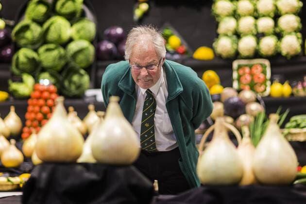 Bilder des Jahres 2019, News 09 September News Themen der Woche KW37 September 13, 2019, Harrogate, Yorkshire, UK: Harrogate UK. Judging has started this morning in the giant vegetable competition at the Harrogate Flower Show in Harrogate, Yorkshire. Harrogate UK  - ZUMAl94_ 20190913_zaf_l94_002 Copyright: xAndrewxMccarenx