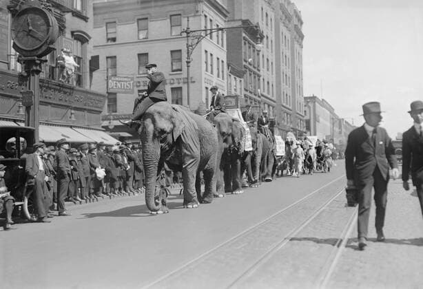 Circus Parade, New York City, New York, USA, Bain News Service, April 1920  Copyright: CircaxImages ghi-circa02961