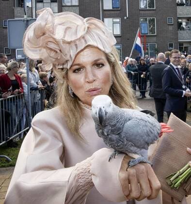 Bilder des Jahres 2019, Entertainment 09 September Entertainment Themen der Woche KW38 18-09-2019 Drenthe Queen Máxima with a parrot during the streekbezoek aan Hoogeveen, Westerveld, De Wolden and Meppel in Drenthe. During the regional visit, attention is given to initiatives by residents and entrepreneurs to preserve the quality of life in their city or village. A connecting approach is central to these initiatives  Copyright: xPPEx