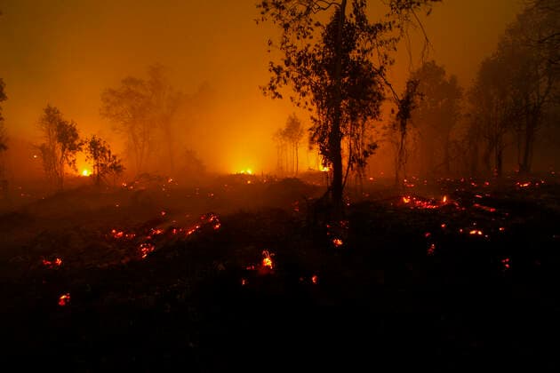 Bilder des Jahres 2019, News 09 September News Bilder des Tages (190922) -- RIAU, Sept. 22, 2019 -- Photo taken on Sept. 22, 2019 shows a forest fire in Kampar, Riau province, Indonesia. (Photo by Xinhua) INDONESIA-RIAU-FOREST FIRE HadlyxVavaldi 