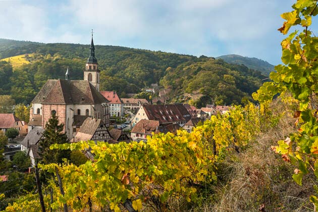 Andlau village and its vineyards seen from above, Alsace Wine Route, France, panorama with vineyards and foothills of the Vosges mountains.  1082002345
