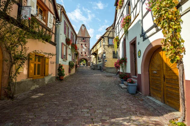 Lane of the half-timbered village Ammerschwihr, Alsace, France, old wine village with town gate and tower  1082002299
