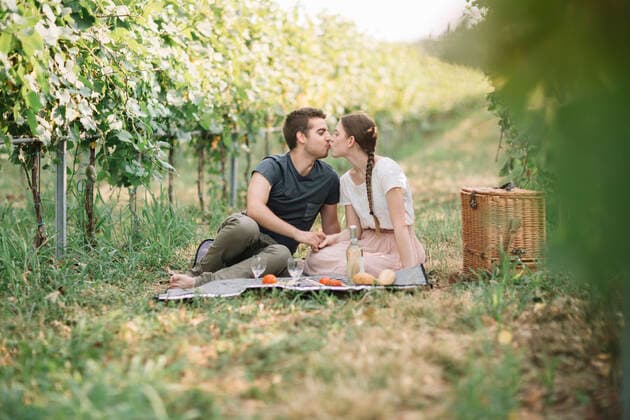 Kissing young couple having picnic in the vineyards model released Symbolfoto  ALBF01011