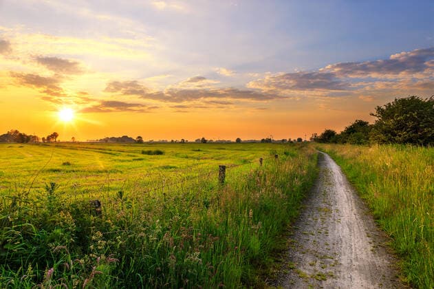 Funnix 03 JUN 2019 Sunset over a meadow near Funnix A field path leads to the horizon OSTFRIESLAND FUNNIX Copyright: RPH Priller&MAUG RPH0A9176X