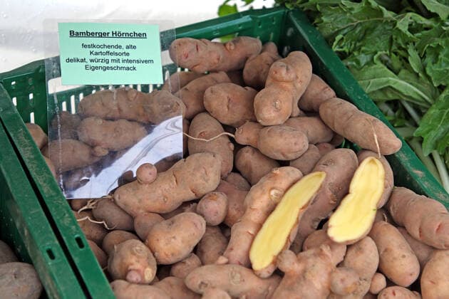 IMAGO Nature: Unsere Erde, Pflanzen: Bedrohte Planzenarten in Deutschland Hauptnahrungsmittel in Deutschland Lose Kartoffeln der Bamberger Hörnchen liegen auf dem Markt bei einem Gemüsehändler Niederrhein Nordrhein-Westfalen Deutschland *** Main foodstuff in Germany Lots of potatoes from the Bamberger croissants are on the market at a vegetable dealer Niederrhein Nordrhein Westfalen Germany