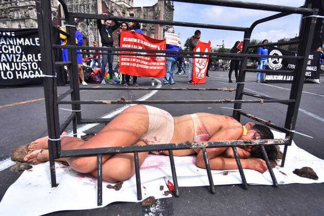 World Animal Day- hunger strike protest MEXICO CITY, MEXICO - OCTOBER 4: Activists protest holding animals dead against animal abuse, a global movement for animal rescue and demanding Rose s law, an initiative that began with the rescue of the Rose hen on September 29, 2018 in a Amazon-owned farm so which activists in different parts of the world call for the initiative of a law in favor of animal rights as part of world animal day at National Palace on October 4, 2019 in Mexico City, Mexico  Copyright: xCarlosxTischlerx EYE_7867