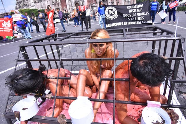 News Bilder des Tages World Animal Day- hunger strike protest MEXICO CITY, MEXICO - OCTOBER 4: Activists protest holding animals dead against animal abuse, a global movement for animal rescue and demanding Rose s law, an initiative that began with the rescue of the Rose hen on September 29, 2018 in a Amazon-owned farm so which activists in different parts of the world call for the initiative of a law in favor of animal rights as part of world animal day at National Palace on October 4, 2019 in Mexico City, Mexico  Copyright: xCarlosxTischlerx EYE_7902
