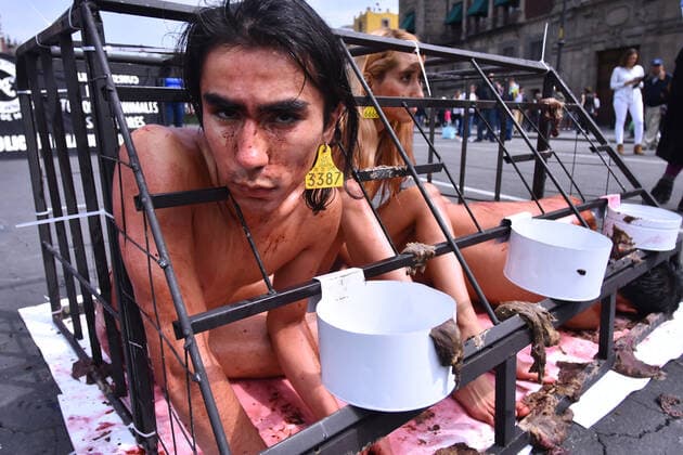 World Animal Day- hunger strike protest MEXICO CITY, MEXICO - OCTOBER 4: Activists protest holding animals dead against animal abuse, a global movement for animal rescue and demanding Rose s law, an initiative that began with the rescue of the Rose hen on September 29, 2018 in a Amazon-owned farm so which activists in different parts of the world call for the initiative of a law in favor of animal rights as part of world animal day at National Palace on October 4, 2019 in Mexico City, Mexico  Copyright: xCarlosxTischlerx EYE_7879