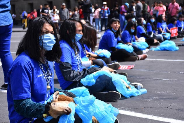 World Animal Day- hunger strike protest MEXICO CITY, MEXICO - OCTOBER 4: Activists protest holding animals dead against animal abuse, a global movement for animal rescue and demanding Rose s law, an initiative that began with the rescue of the Rose hen on September 29, 2018 in a Amazon-owned farm so which activists in different parts of the world call for the initiative of a law in favor of animal rights as part of world animal day at National Palace on October 4, 2019 in Mexico City, Mexico  Copyright: xCarlosxTischlerx EYE_7988