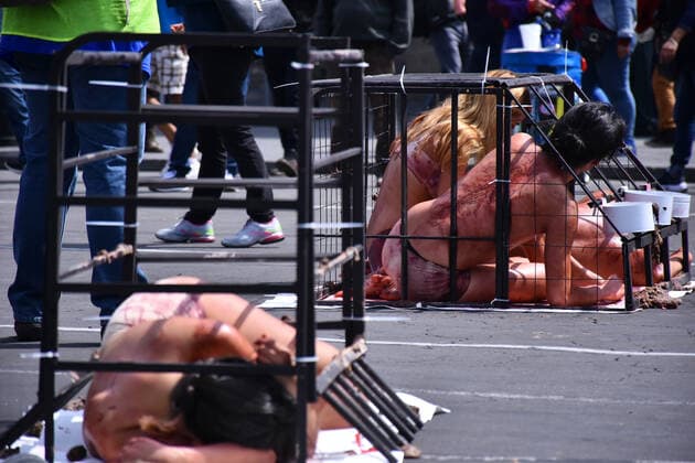World Animal Day- hunger strike protest MEXICO CITY, MEXICO - OCTOBER 4: Activists protest holding animals dead against animal abuse, a global movement for animal rescue and demanding Rose s law, an initiative that began with the rescue of the Rose hen on September 29, 2018 in a Amazon-owned farm so which activists in different parts of the world call for the initiative of a law in favor of animal rights as part of world animal day at National Palace on October 4, 2019 in Mexico City, Mexico  Copyright: xCarlosxTischlerx EYE_8025