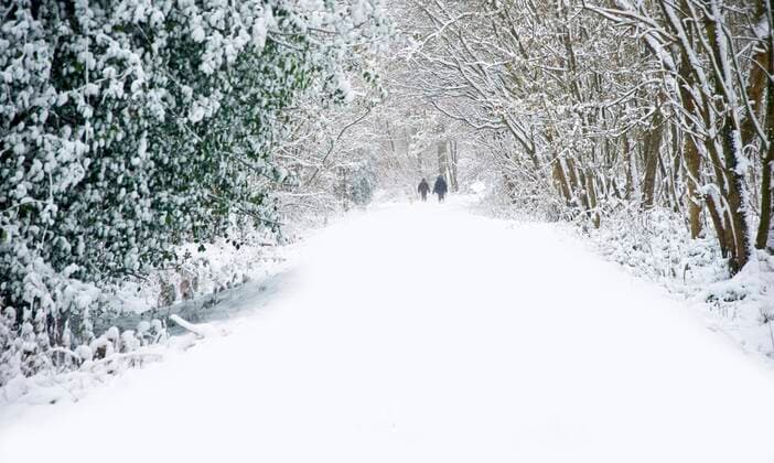Beautiful winter forest snow scene with deep virgin snow and family walking dogs on path walkway 03C75470