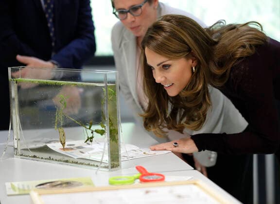 . 09 10 2019. London, United Kingdom. The Duchess of Cambridge at the Natural History Museum s Angela Marmont Centre for UK Biodiversity in London.  xPoolx xi-Imagesx IIM-20245-0009