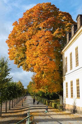 (191012) -- STOCKHOLM, Oct. 12, 2019 -- Tourists visit the Baroque Garden of Drottningholm Palace in Stockholm County, Sweden, Oct. 11, 2019. ) SWEDEN-STOCKHOLM-AUTUMN ZhengxHuansong 