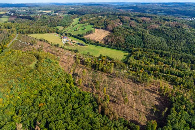 Aerial photo, Forest area, Am Hexenteich, Menden, North Rhine Westphalia, Germany ACHTUNGxMINDESTHONORARx60xEURO