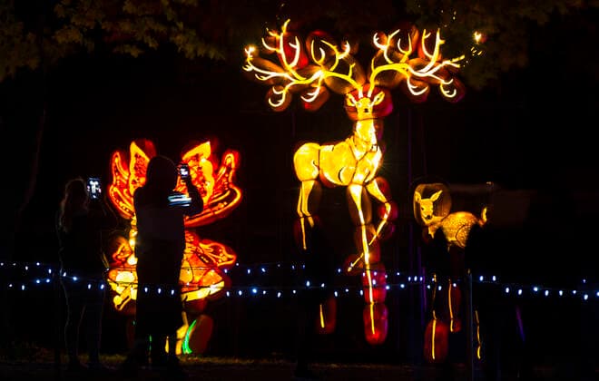 (191013) -- MORRISBURG, Oct. 13, 2019 -- A man (L) takes photos of pumpkin carvings during the 2019 Pumpkinferno at Upper Canada Village in Morrisburg, Ontario, Canada, Oct. 12, 2019. (Photo by Zou Zheng Xinhua) CANADA-ONTARIO-MORRISBURG-PUMPKINFERNO ZouxZhuo 