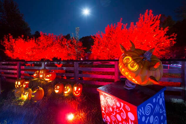 (191013) -- MORRISBURG, Oct. 13, 2019 -- Handcraft pumpkin carvings are seen during the 2019 Pumpkinferno at Upper Canada Village in Morrisburg, Ontario, Canada, Oct. 12, 2019. (Photo by Zou Zheng Xinhua) CANADA-ONTARIO-MORRISBURG-PUMPKINFERNO ZouxZhuo 