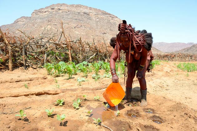 IMAGO Cultures of the world, Himba Volk in Namibia Himba woman watering her maize crop during dry season, Marienfluss Valley, Kaokoland Desert, Namibia. October 2015  1531104 EricxBaccega