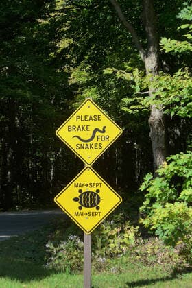 Please brake for snakes and turtles sign on the access road to Charleston Lake Provincial Park, a nature park in Canadian Ontario near Kingston and Gananoque.