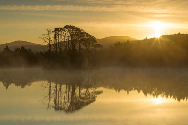 Scots pine (Pinus sylvestris) trees, at sunrise, Loch Mallachie, Abernethy Forest, Cairngorms National Park, Scotland, UK, November.  1553660 SCOTLAND:xThexBigxPicture