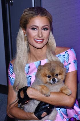 Paris Hilton launch Electrify perfume in Mexico City MEXICO CITY, MEXICO - OCTOBER 17: The businesswoman and socialite Paris Hilton holds a dog during the launch of her Electrify perfume at W Hotel on October 17, 2019 in Mexico City, Mexico  Copyright: xCarlosxTischlerx EYE_5896