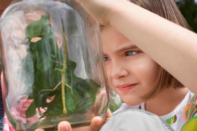 Two Girls Examining Mantis in Jar,model released, Symbolfoto 03B72900
