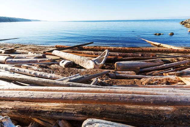 Vancouver Island. ING_19071_18083