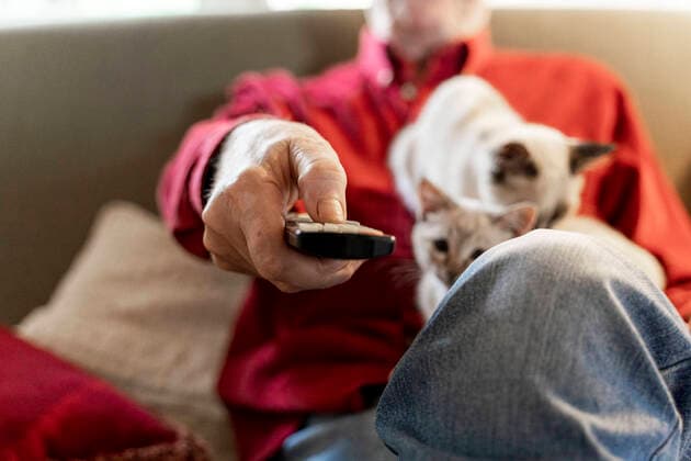 Senior man with kittens siiting on sofa holding remote control model released Symbolfoto property released  AFVF04130