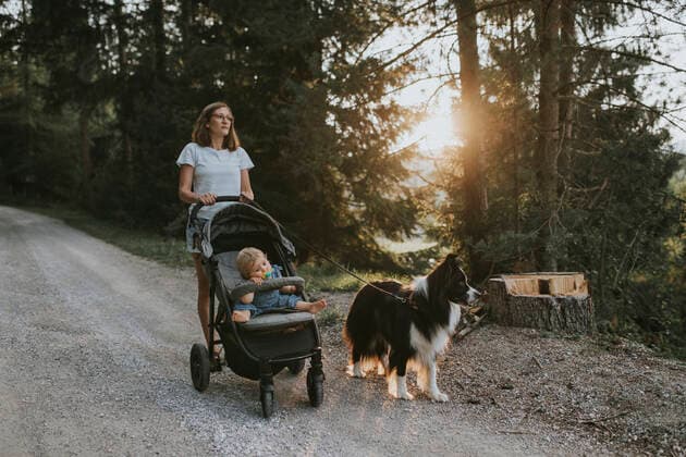 IMAGO Creative: Sommer, Abendspaziergang Mother with baby in stroller and dog walking on forest path at sunset model released Symbolfoto property released  DWF00514