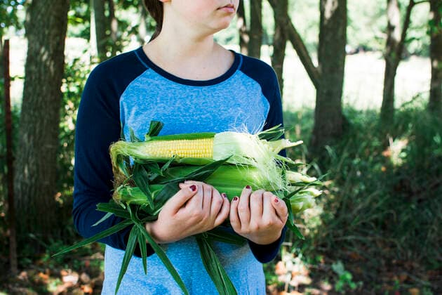 A Teenage Girl Carrying an Armload of Sweet Corn United States, Michigan, Hillsdale CR_OMHX190924-198139-01