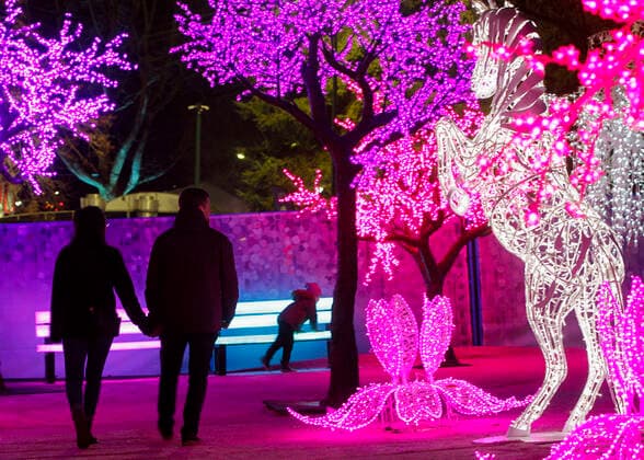 (191122) -- VANCOUVER, Nov. 22, 2019 (Xinhua) -- People walk past light displays during the Aurora Winter Festival in Vancouver, Canada. Nov. 21, 2019. Fifteen acres of open space are turned into a winter wonderland during the Aurora Winter Festival with light displays and holiday themed attractions. (Photo by Liang Sen Xinhua) CANADA-VANCOUVER-WINTER-FESTIVAL 