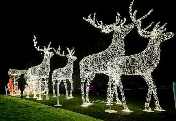 (191122) -- VANCOUVER, Nov. 22, 2019 (Xinhua) -- A visitor stands by light displays during the Aurora Winter Festival in Vancouver, Canada. Nov. 21, 2019. Fifteen acres of open space are turned into a winter wonderland during the Aurora Winter Festival with light displays and holiday themed attractions. (Photo by Liang Sen Xinhua) CANADA-VANCOUVER-WINTER-FESTIVAL 