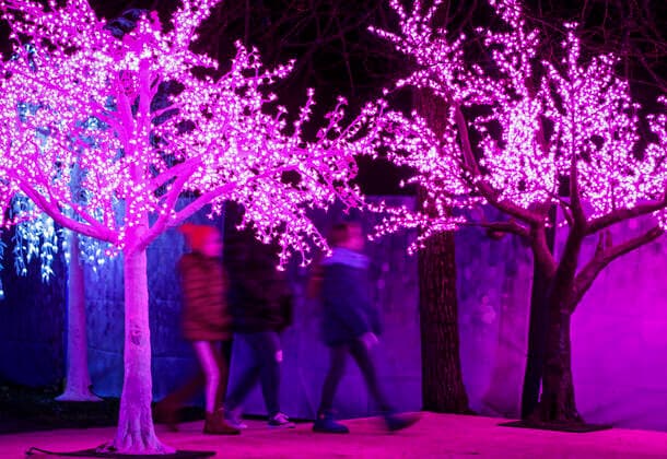 (191122) -- VANCOUVER, Nov. 22, 2019 (Xinhua) -- People walk past light displays during the Aurora Winter Festival in Vancouver, Canada. Nov. 21, 2019. Fifteen acres of open space are turned into a winter wonderland during the Aurora Winter Festival with light displays and holiday themed attractions. (Photo by Liang Sen Xinhua) CANADA-VANCOUVER-WINTER-FESTIVAL 