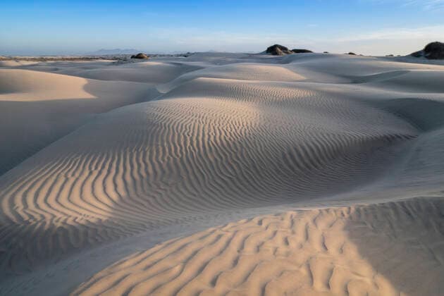 Patterns in the dunes at Sand Dollar Beach, Magdalena Island, Baja California Sur, Mexico, North America Copyright: MichaelxNolan 1112-4373
