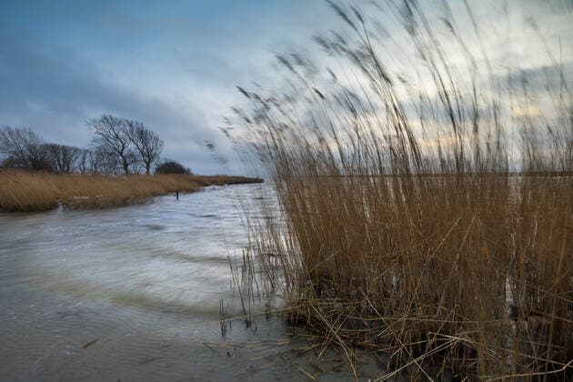 IMAGO Nature: Unsere Erde, Ressourcen, Wind Deutschland; Mecklenburg Vorpommern; Rügen; ; Küste: Ufer am großen Jasmunder Bodden bei Sagard *** Germany Mecklenburg-Western Pomerania Rügen Coast Shore at the great Jasmunder Bodden near Sagard