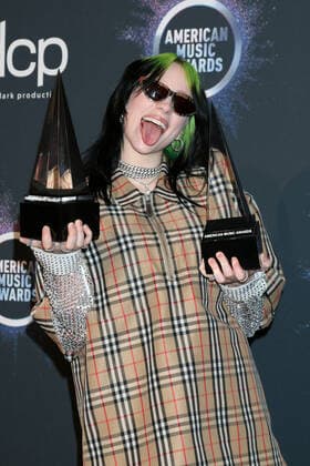 LOS ANGELES - NOV 24: Billie Eilish at the 47th American Music Awards - Press Room at Microsoft Theater on November 24, 2019 in Los Angeles, CA  Copyright: xKathyxHutchinsx xIPAx xHutchinsxPhotox