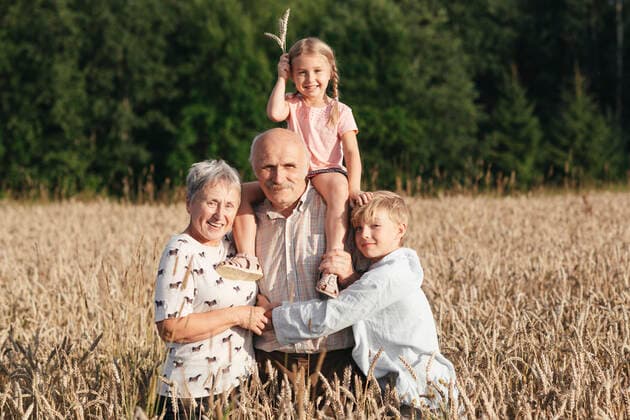 Family portrait of grandparents with their grandchildren in an oat field model released Symbolfoto  EYAF00699